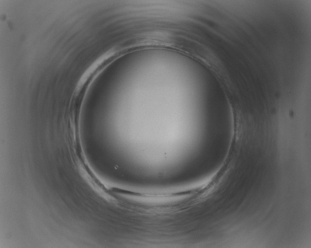 X0000052550796200507011129