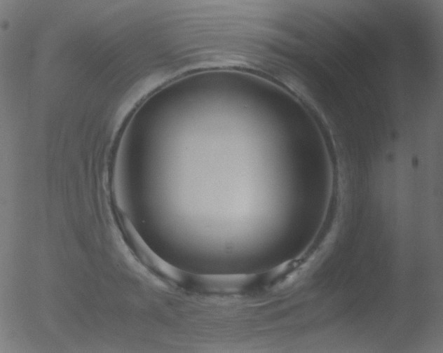 X0000052550797200507011129