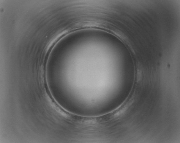 X0000052550798200507011129