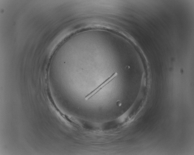 X0000052550799200507011129