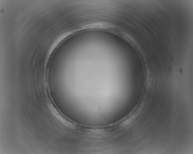 X0000052550800200507011129