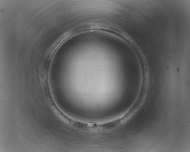 X0000052550801200507011129