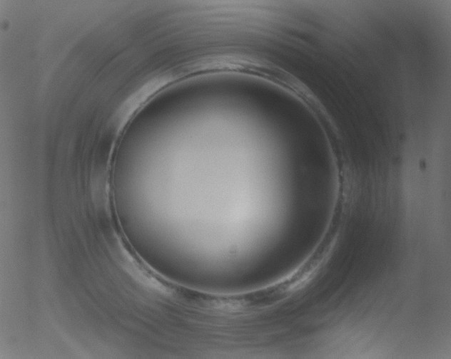 X0000052550802200507011129