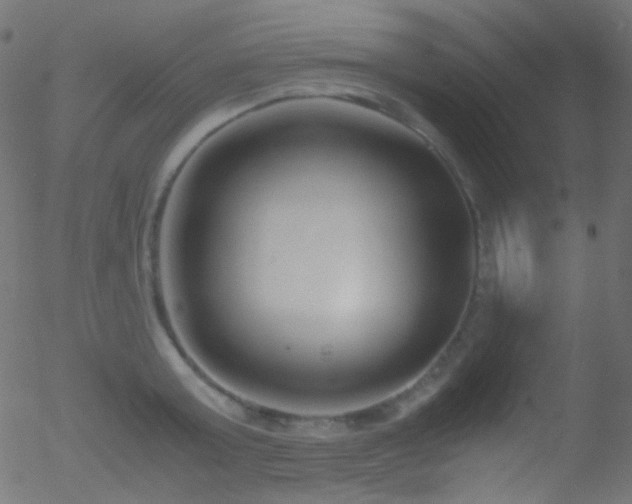 X0000052550803200507011129