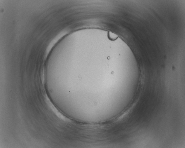 X0000052550804200507011129