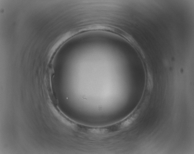 X0000052550805200507011129