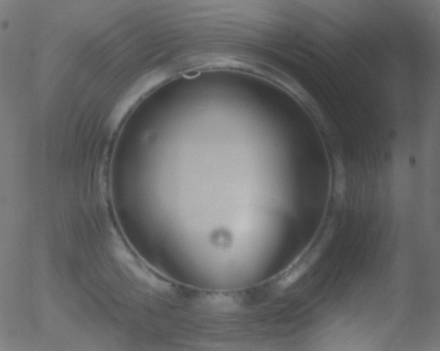 X0000052550806200507011129