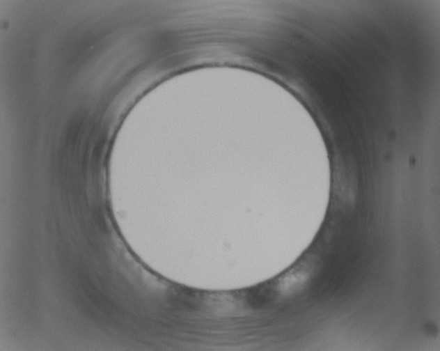 X0000052550807200507011129