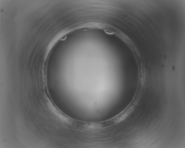 X0000052550808200507011129