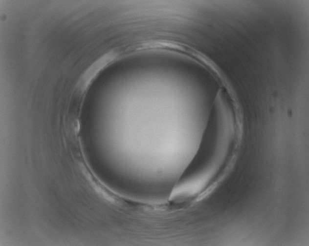 X0000052550809200507011129