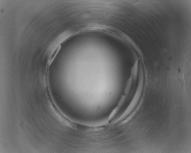 X0000052550810200507011129