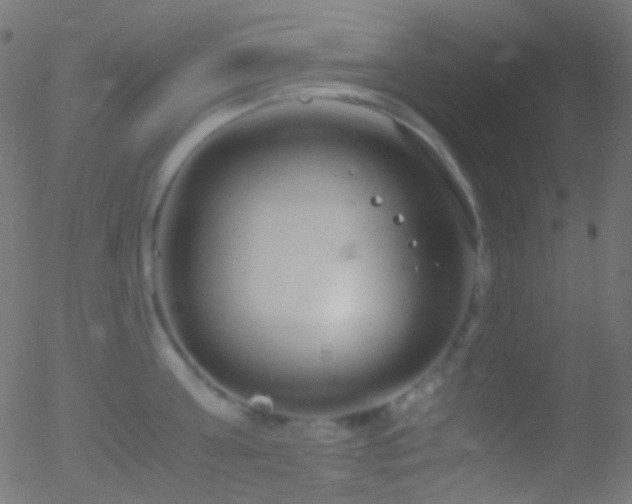 X0000052550811200507011129