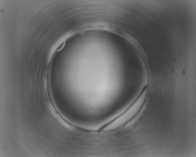 X0000052550812200507011129