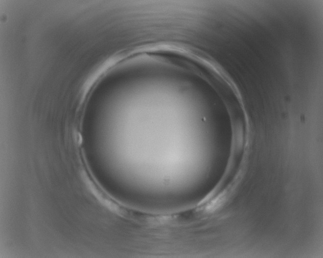 X0000052550813200507011129