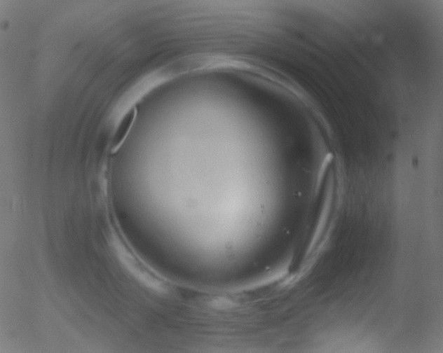 X0000052550814200507011129