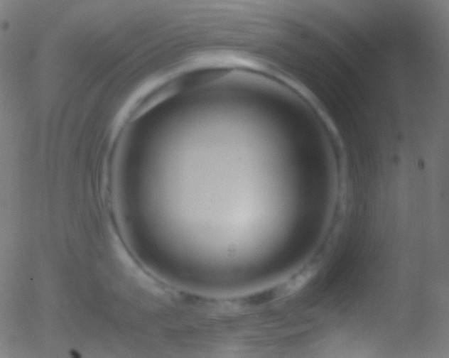 X0000052550815200507011129