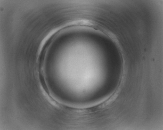 X0000052550816200507011129