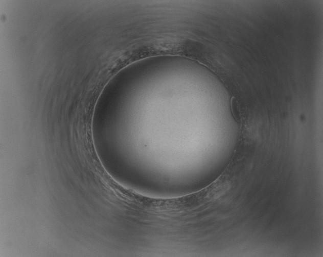 X0000052550817200507011128