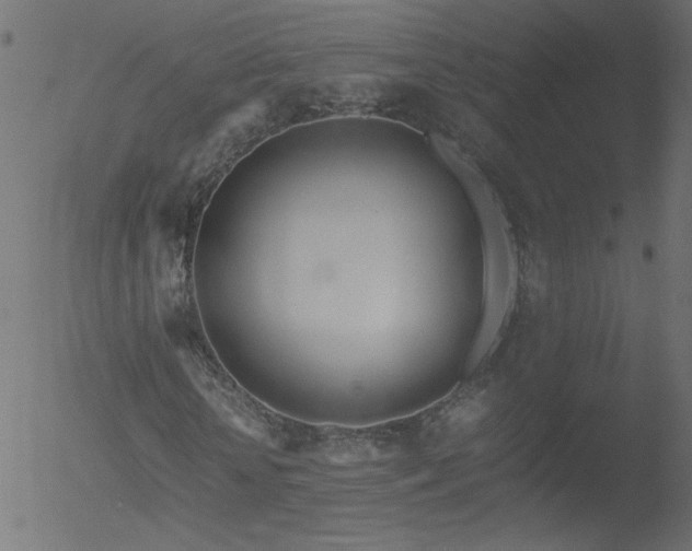 X0000052550818200507011128