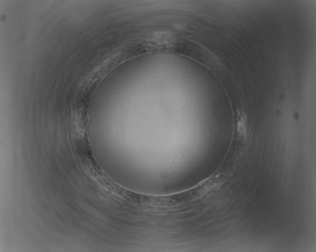 X0000052550819200507011128