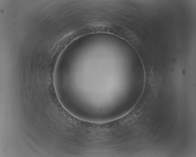 X0000052550821200507011128