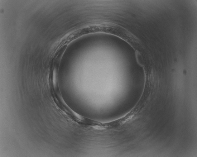 X0000052550822200507011128