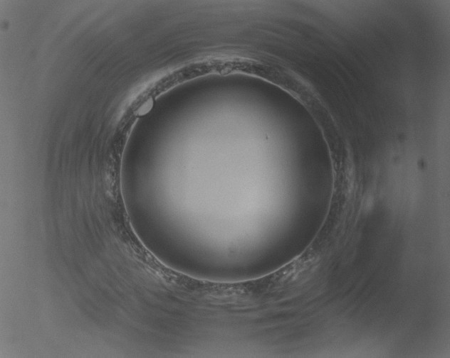 X0000052550823200507011128