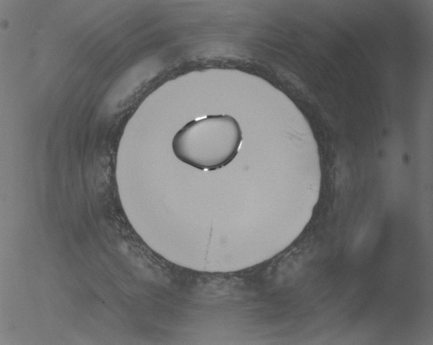 X0000052550824200507011128