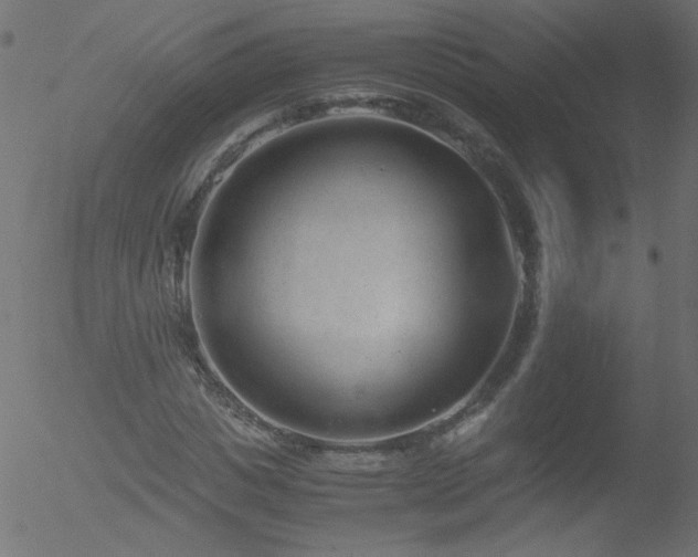 X0000052550825200507011128