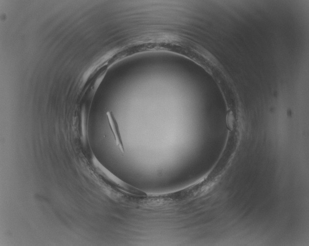 X0000052550826200507011128