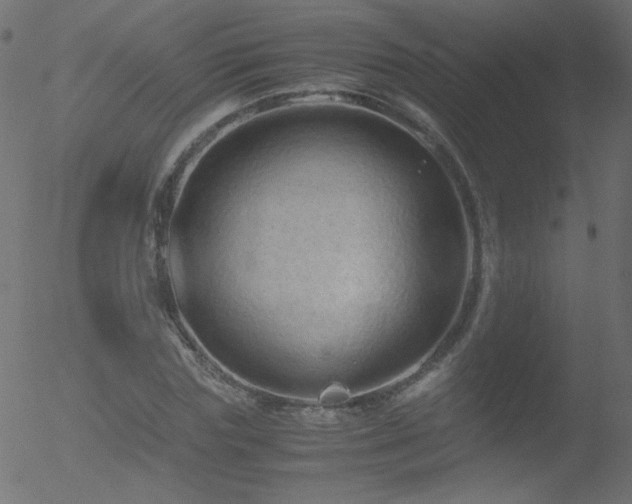 X0000052550827200507011128