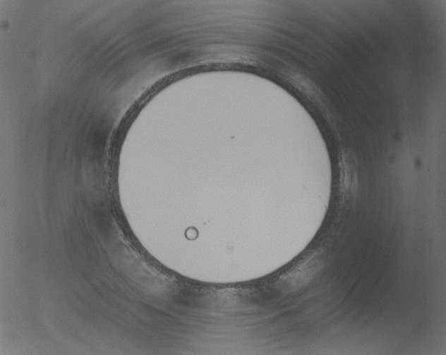 X0000052550828200507011128