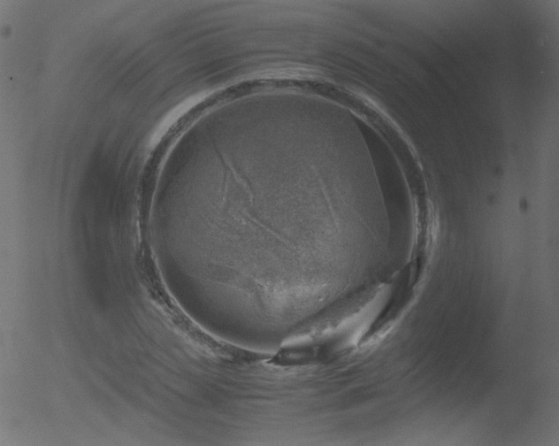 X0000052550829200507011128