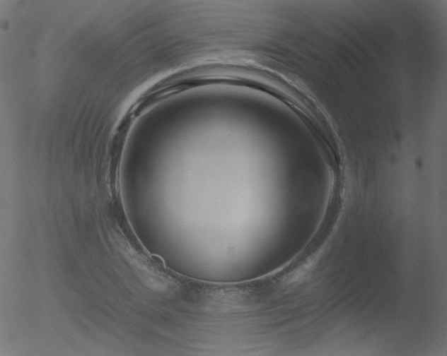 X0000052550830200507011128