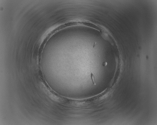 X0000052550831200507011128