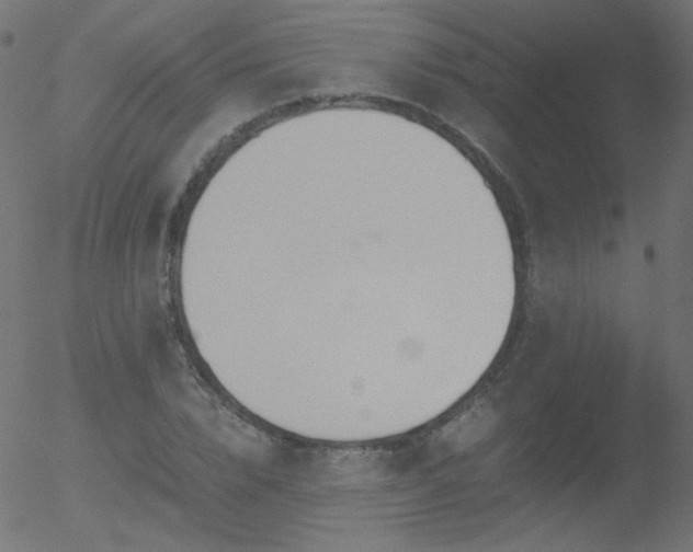 X0000052550832200507011128