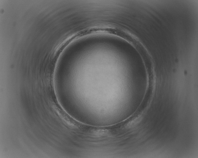 X0000052550833200507011128