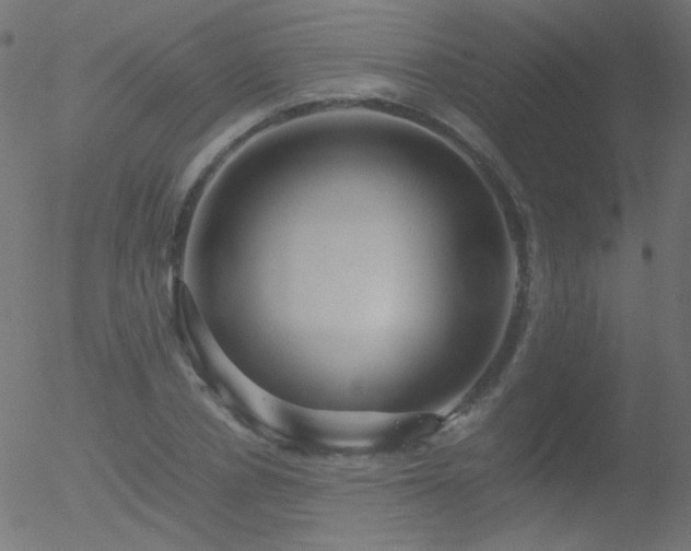 X0000052550834200507011128