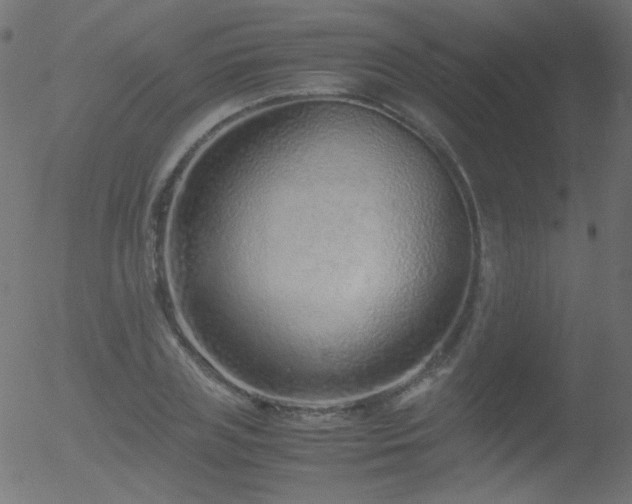 X0000052550835200507011128