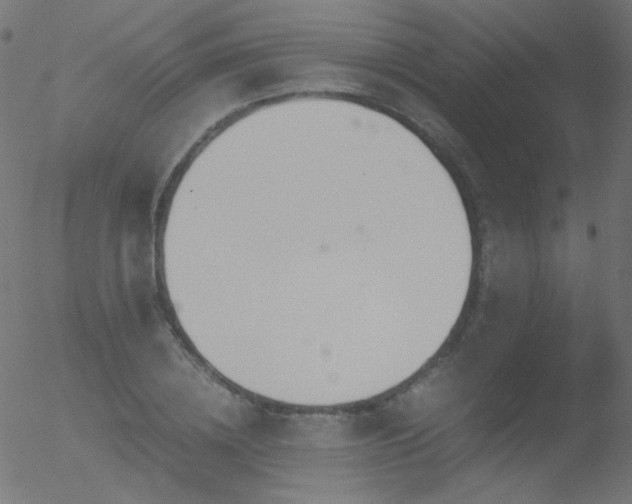 X0000052550836200507011128