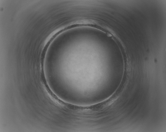 X0000052550837200507011128