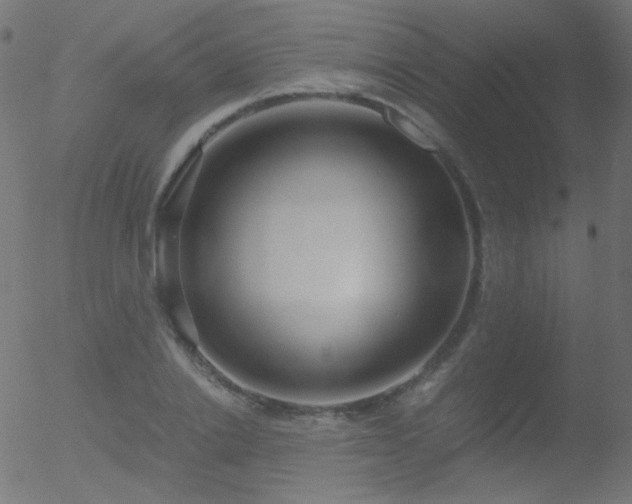 X0000052550838200507011128