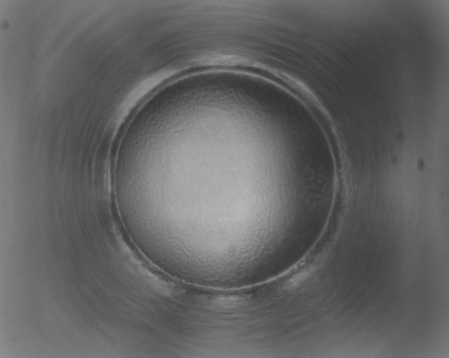 X0000052550839200507011128