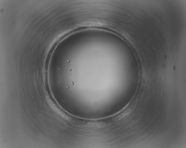 X0000052550840200507011128