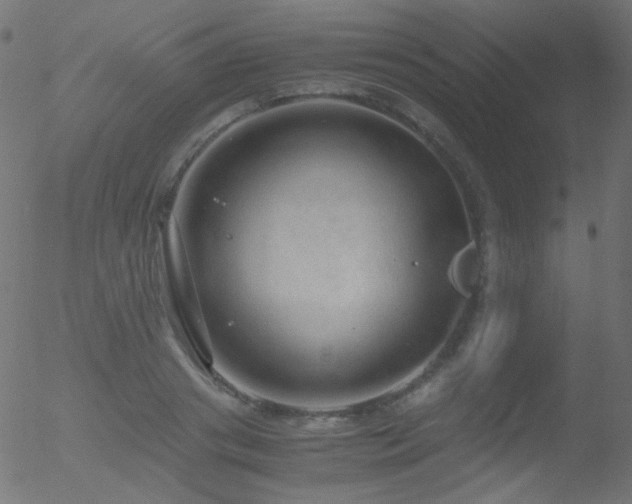 X0000052550841200507011128