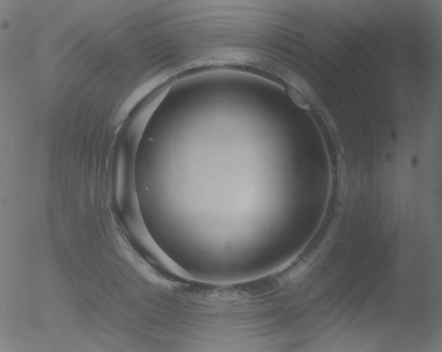 X0000052550842200507011128