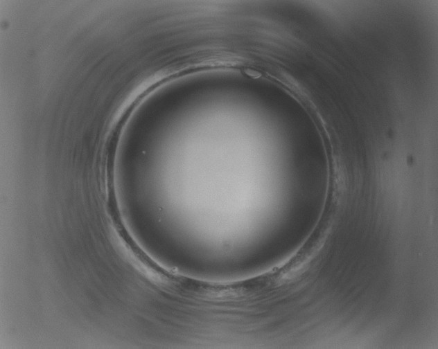 X0000052550843200507011128