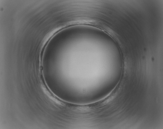 X0000052550844200507011128