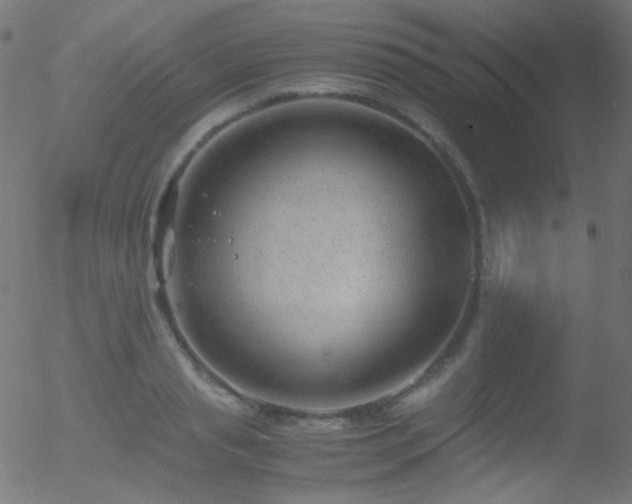 X0000052550845200507011128