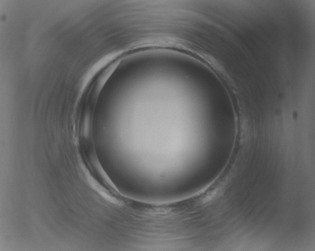 X0000052550846200507011128